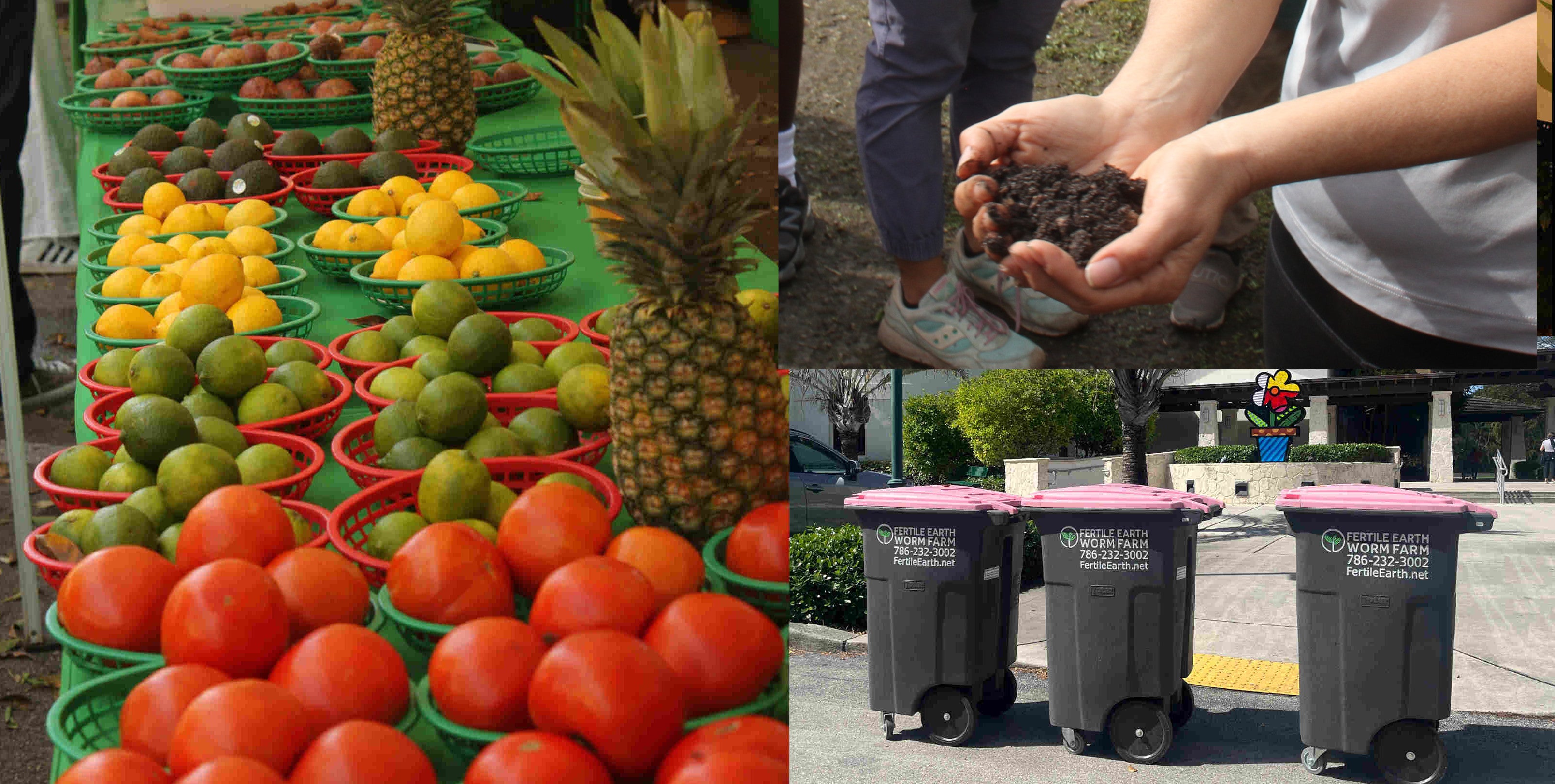 Pinecrest Composting