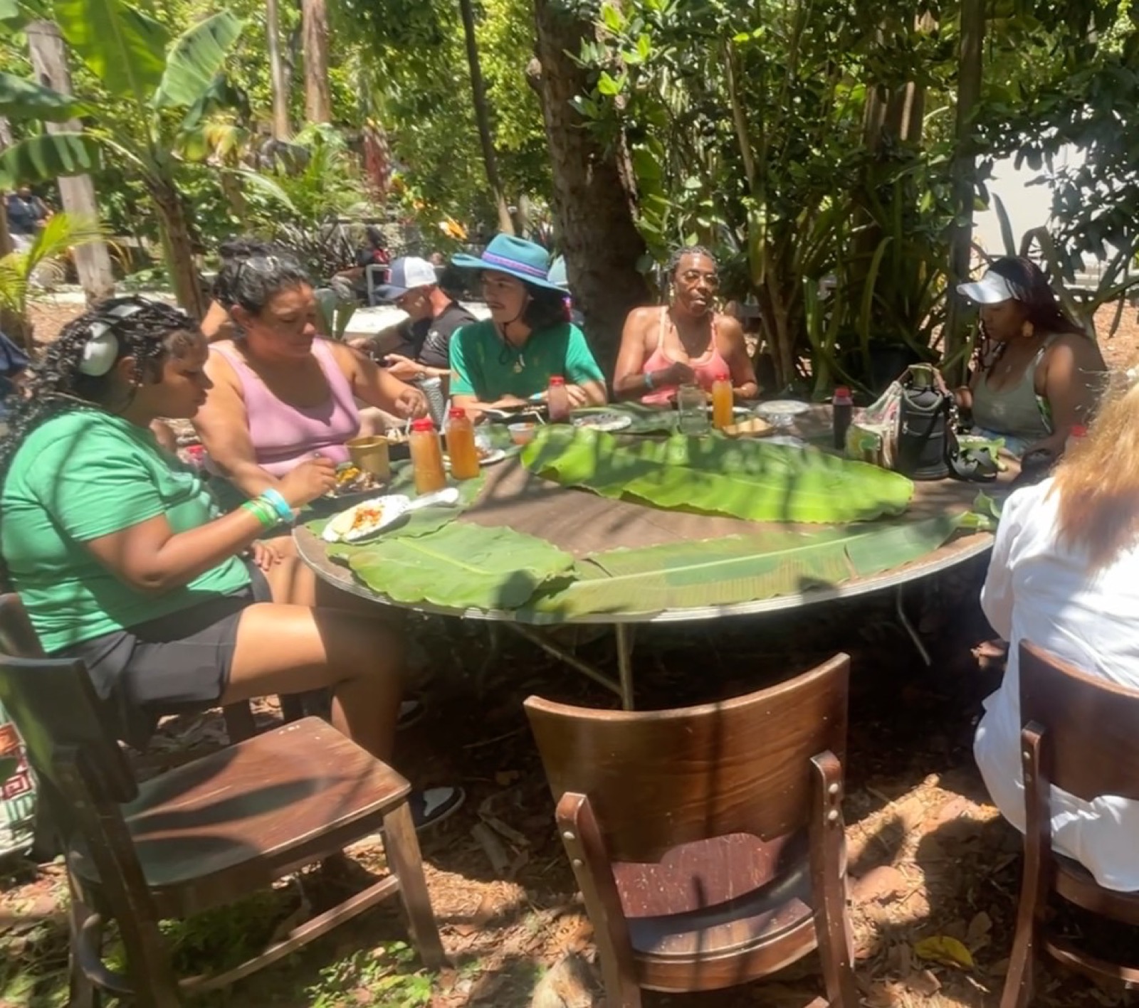 Lunch stop under the trees during the farm-hopping tour.