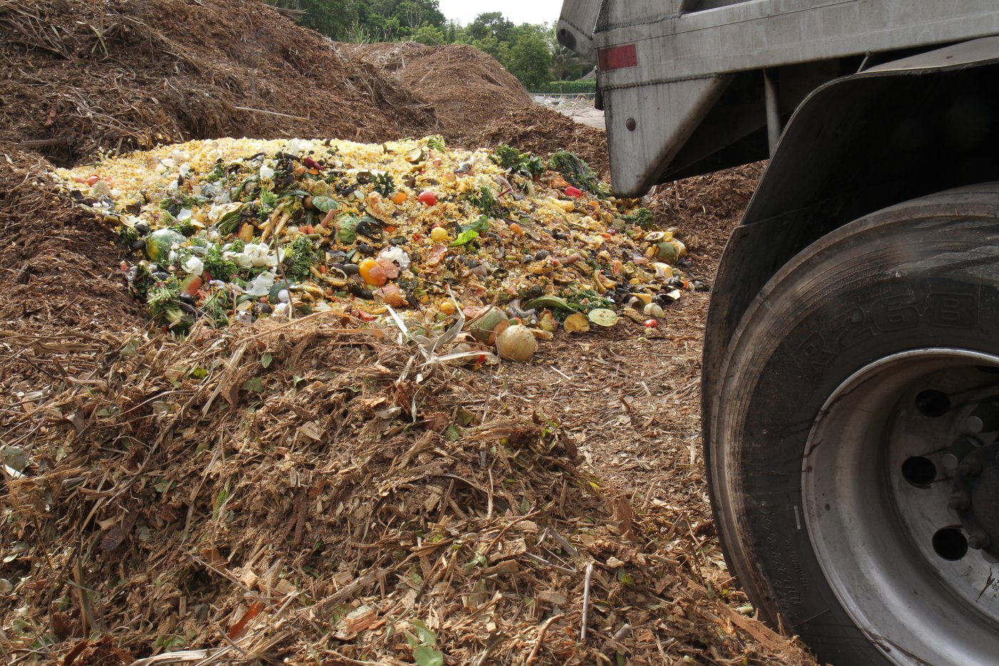Food scraps delivered onto a mulch windrow for on-farm composting