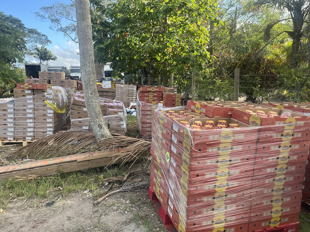 Truck arriving with surplus food pallets