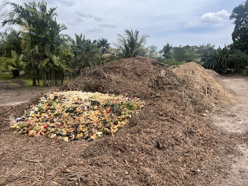 Finished compost created from rescued food