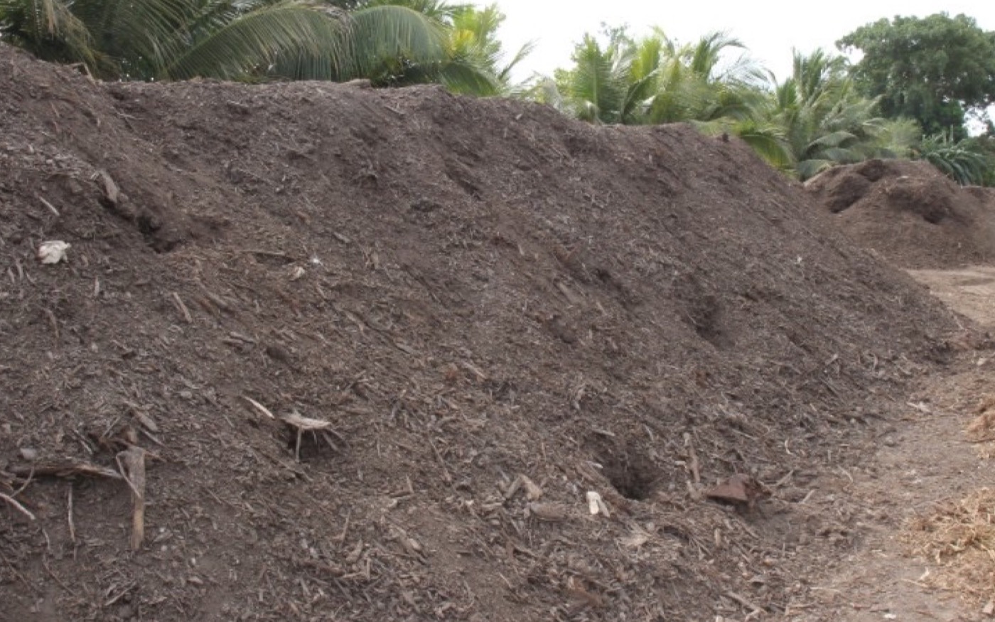 Compost windrows on a farm.
