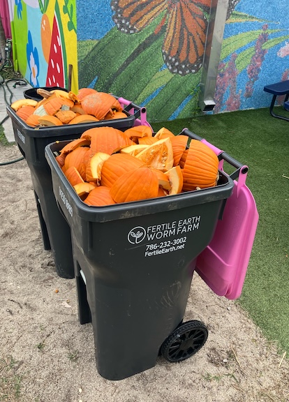 Fertile Earth collection toters filled with pumpkins from George Washington Carver Elementary