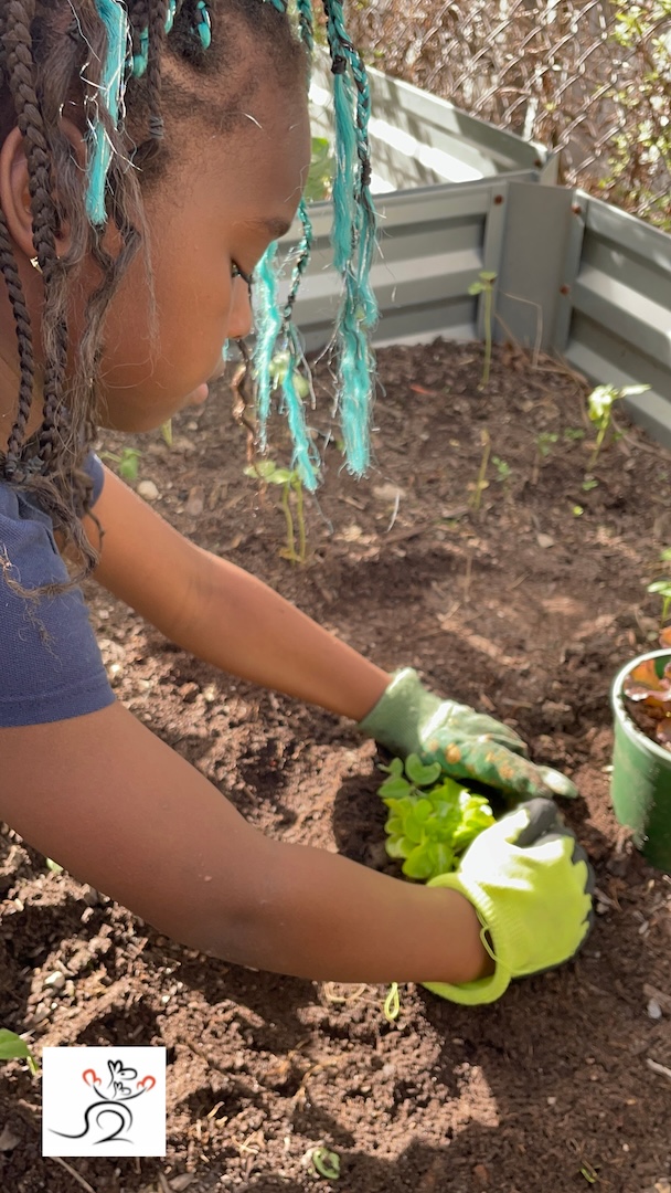 Community garden growing with donated Fertile Earth soil