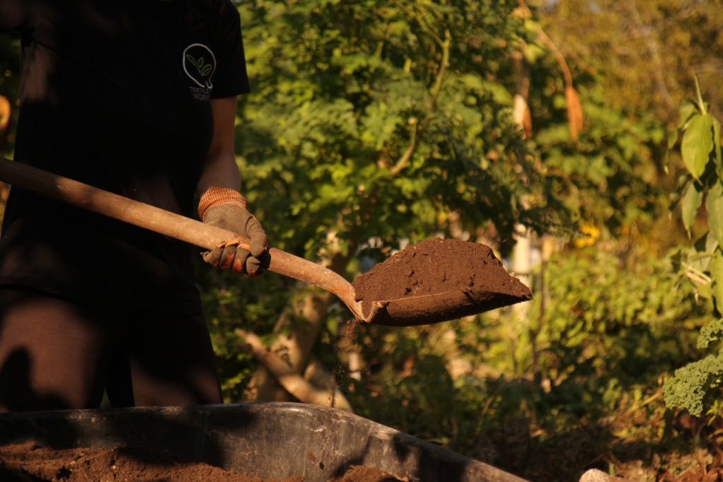 Compost being moved with a shovel at the farm.