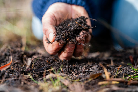 What is Composting?