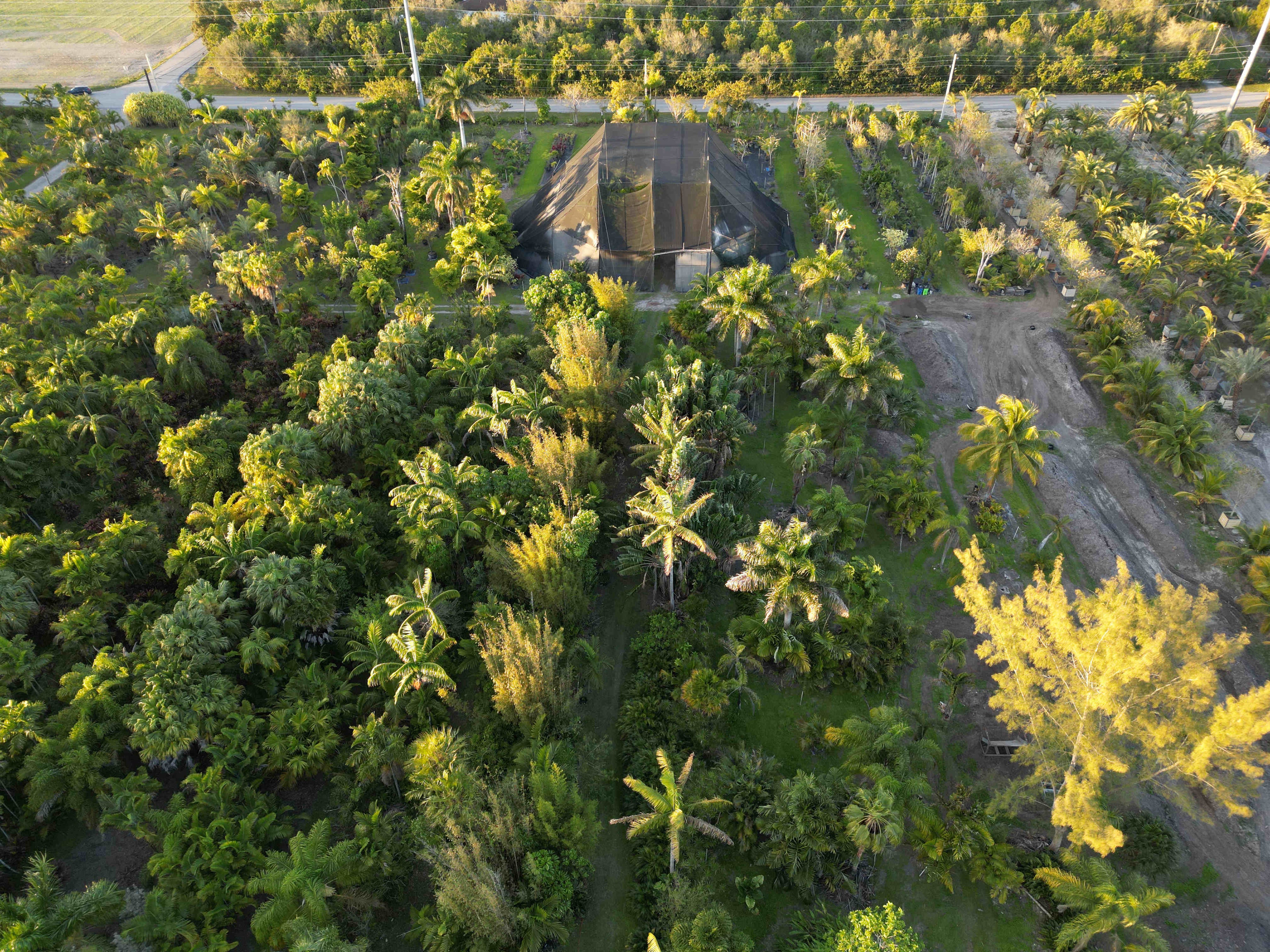 Aerial view of Fertile Earth tree farm