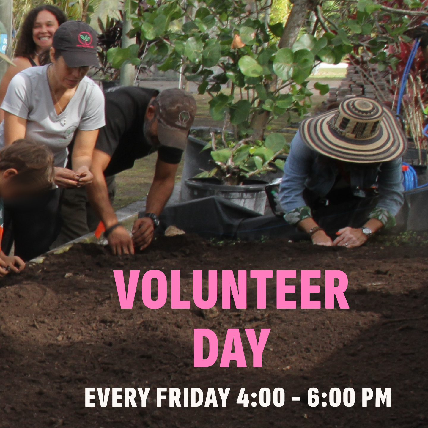 Volunteer Registration